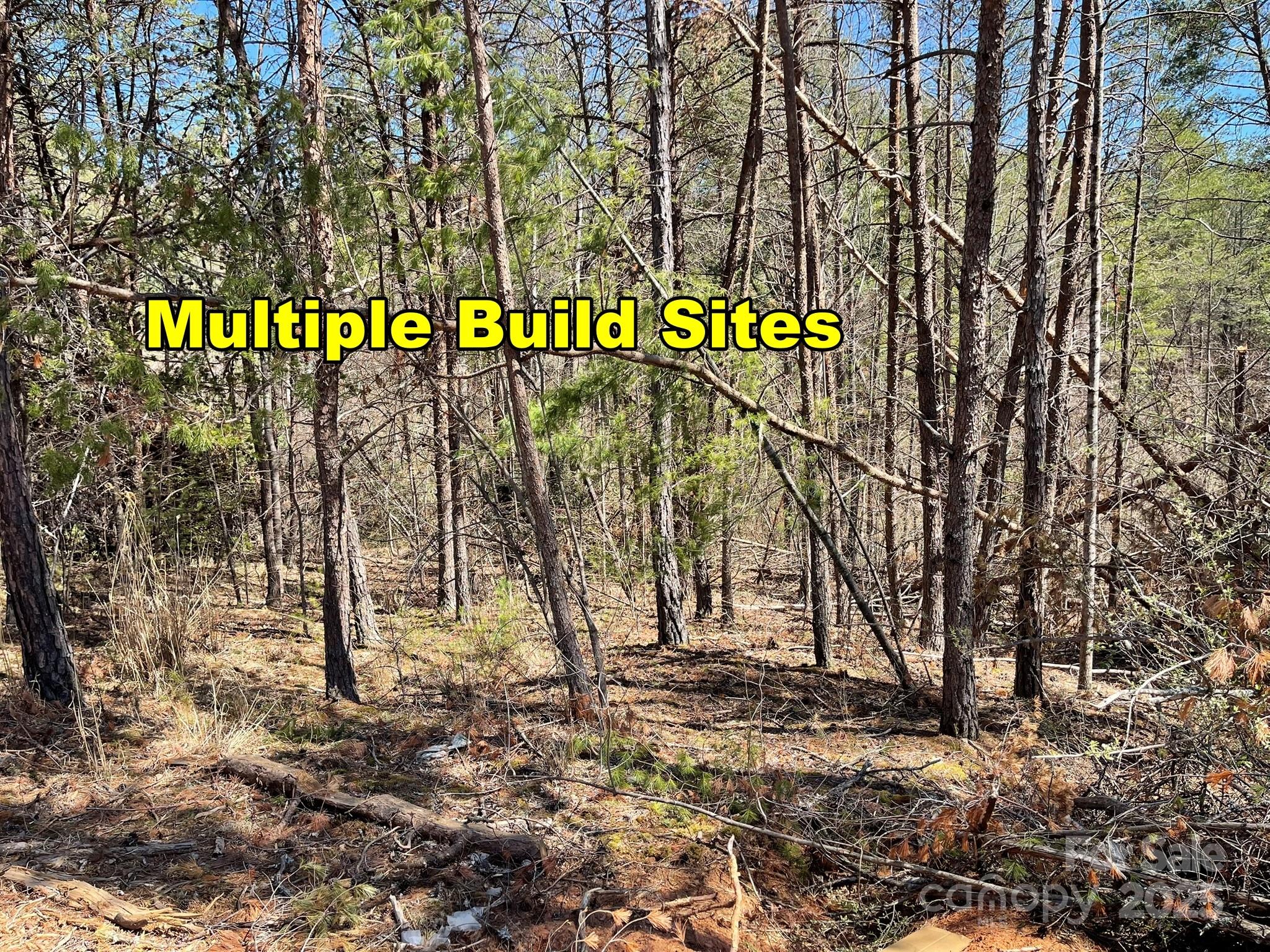 84 Union Chapel Road Weaverville, NC 28787 - Photo 16 of 25