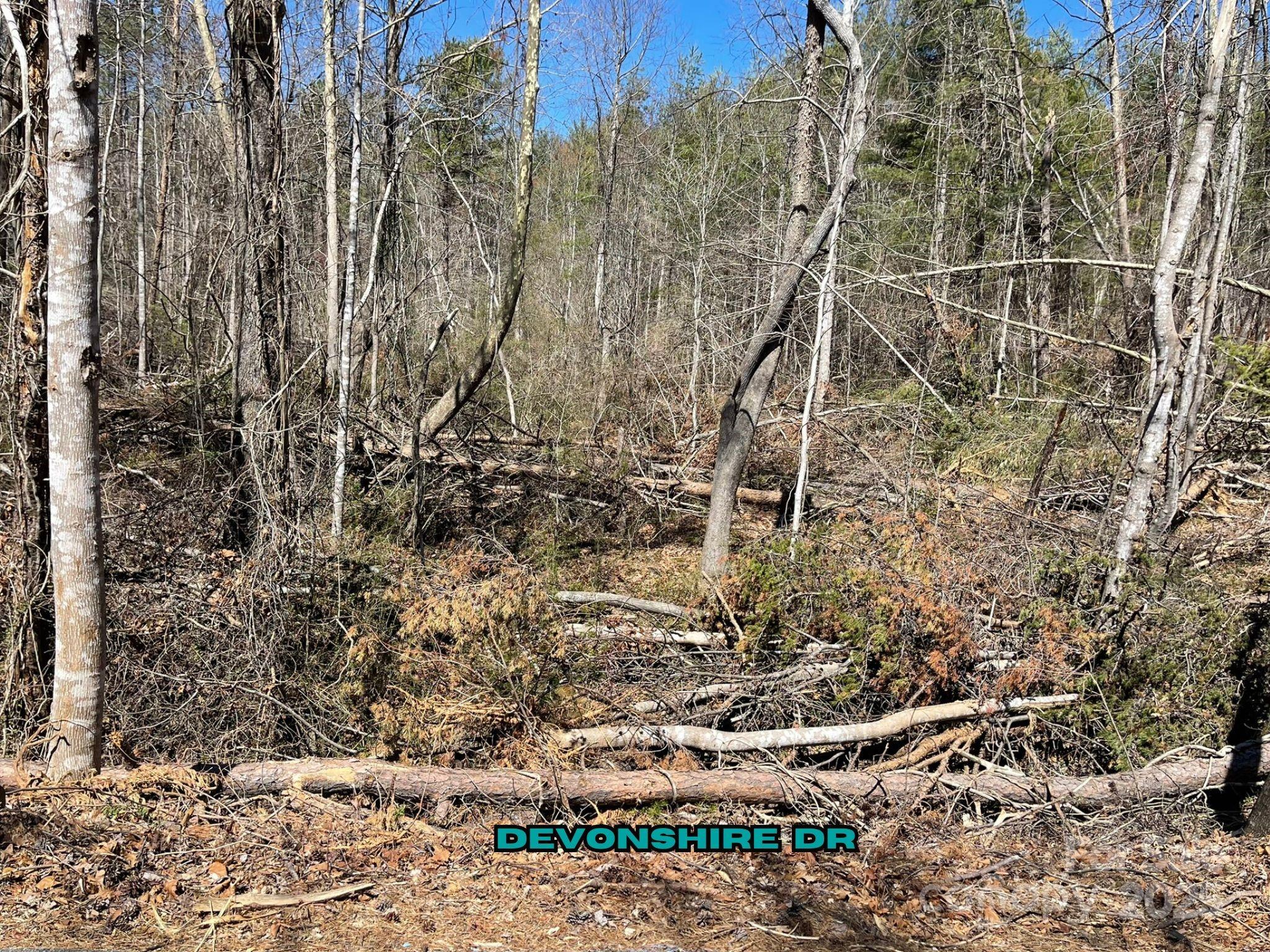 84 Union Chapel Road Weaverville, NC 28787 - Photo 7 of 25