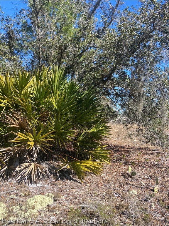 10998 Payne Road Sebring, FL 33875 - Photo 7 of 9 Gallery Image 7