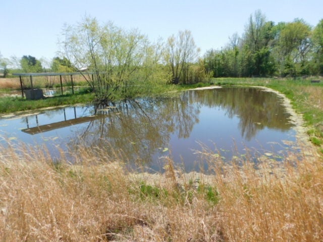 1070 Williams Road Russellville, KY 42276 - Photo 23 of 29 Gallery Image 23