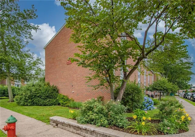 a view of a garden with a tree