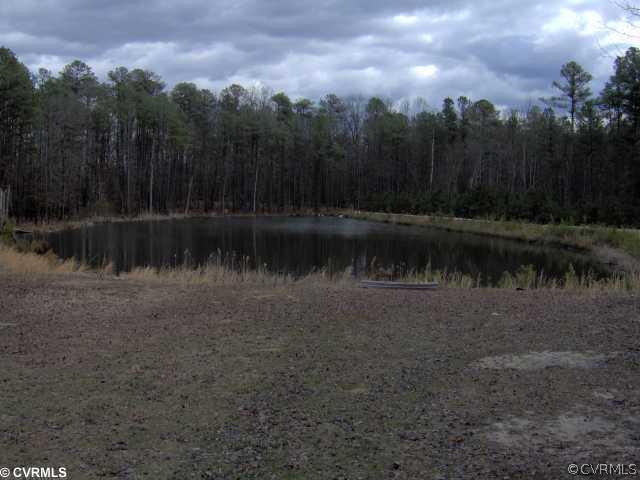9401 Deer Range Road Moseley, VA 23120 - Photo 3 of 3 a view of a lake with trees in the background