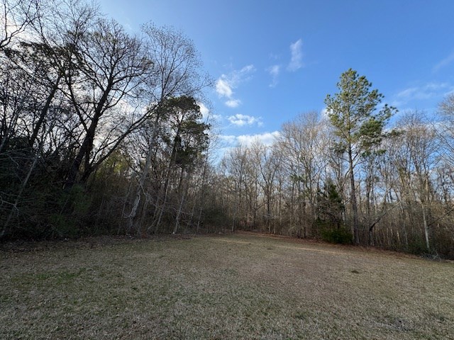 75 Point Escambia Circle Atmore, AL 36502 - Photo 2 of 8