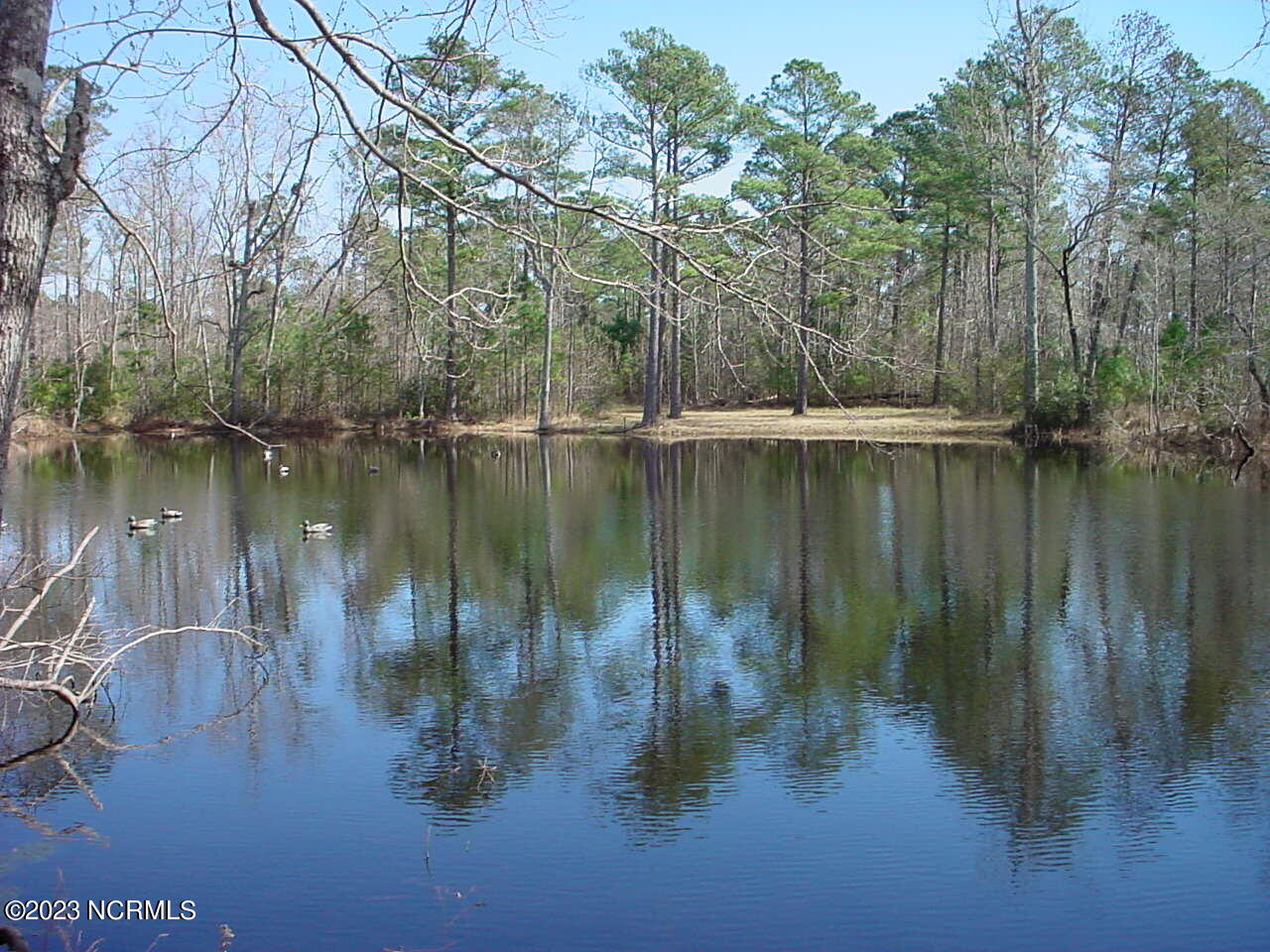 Pond view