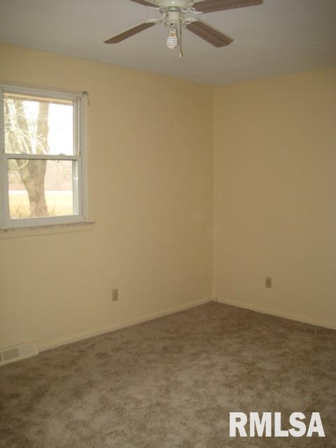 22686 Spring Creek Road Washington, IL 61571 - Photo 14 of 32 Gallery Image 14
