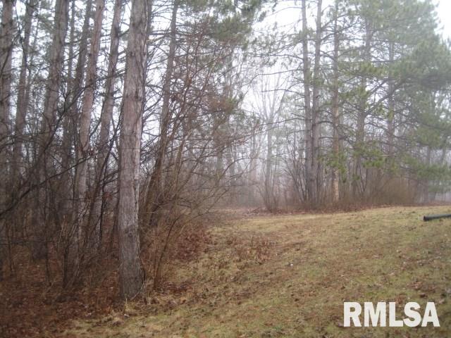 22686 Spring Creek Road Washington, IL 61571 - Photo 29 of 32 Gallery Image 29