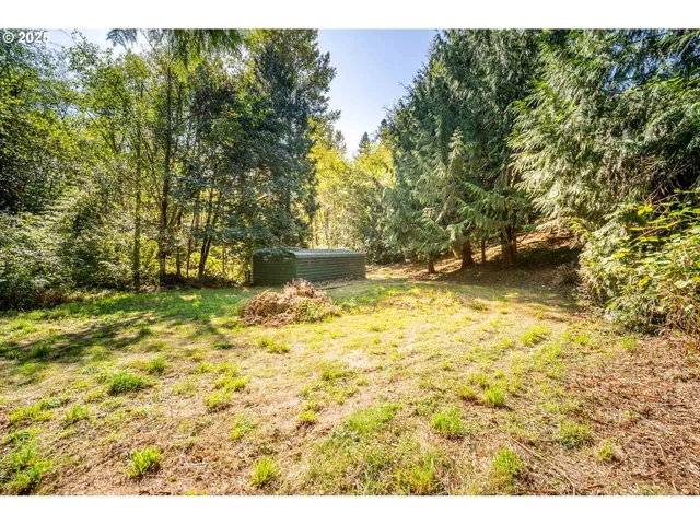 a view of a tree with a tree