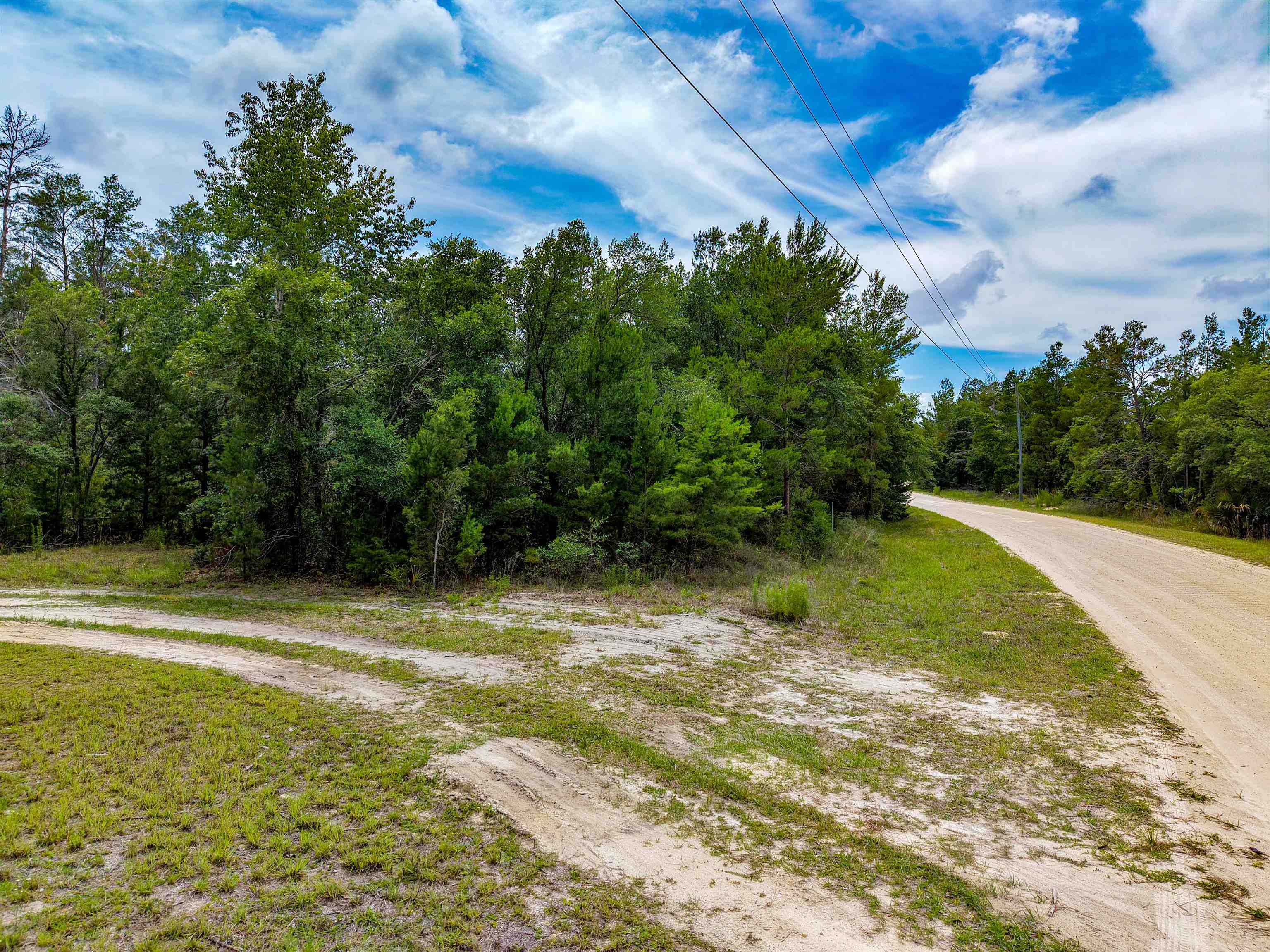 Tbd Ocean Pond Road Perry, FL 32348 - Photo 2 of 21