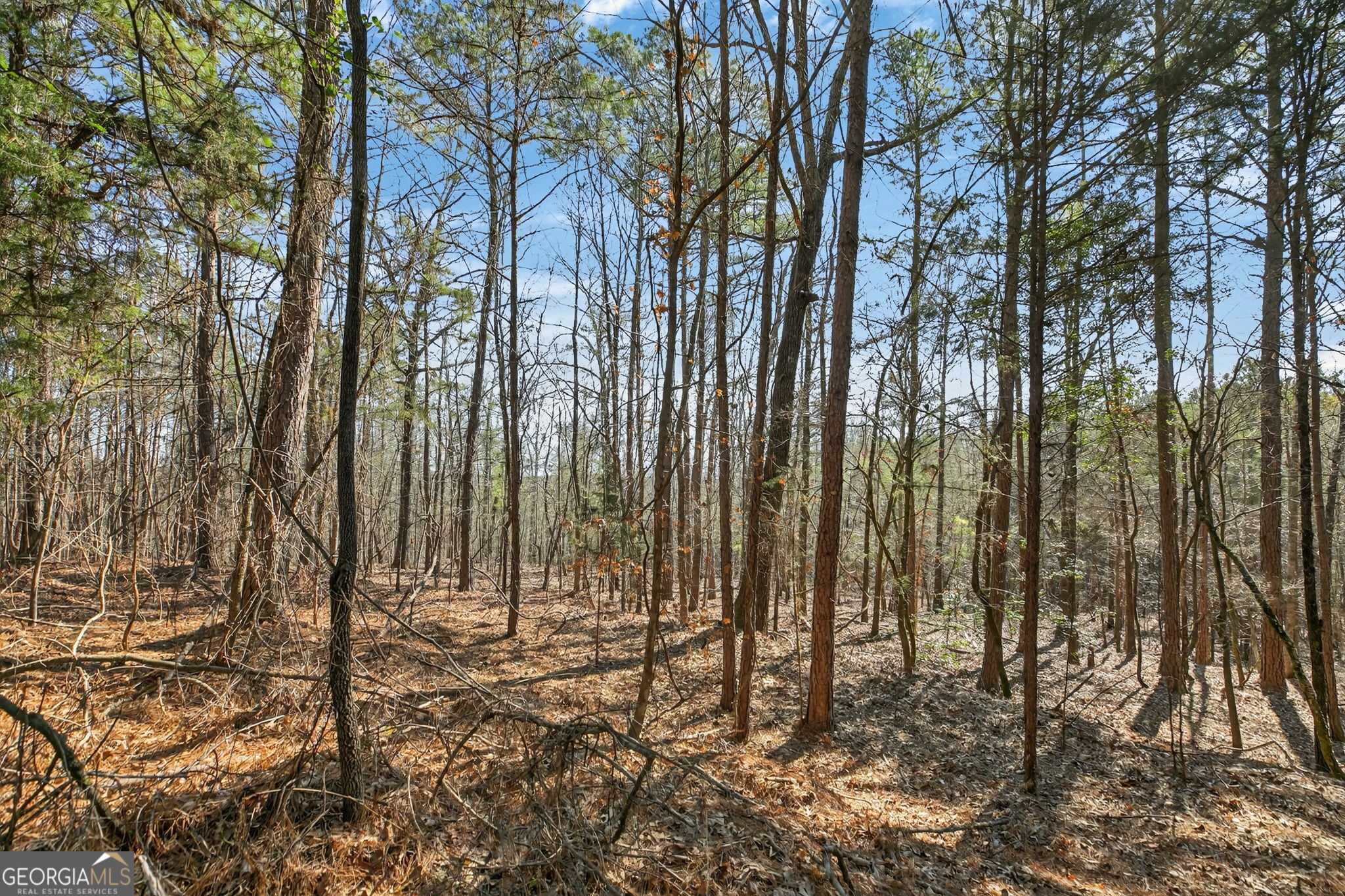 5010 Highway 27 Franklin, GA 30217 - Photo 32 of 39