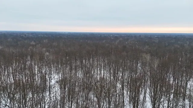 $182,500 | North Magruder Road, Coleman, MI 48618