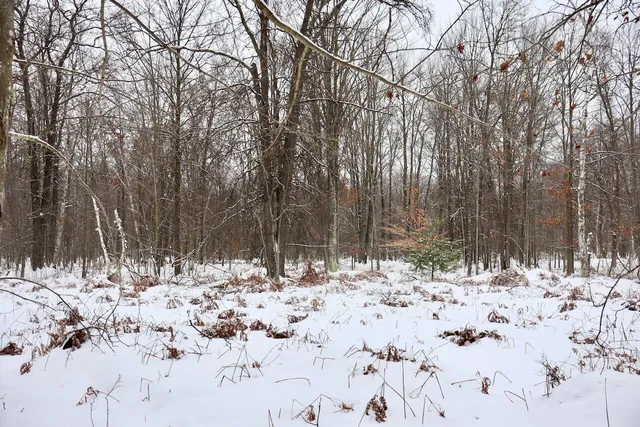 $182,500 | North Magruder Road, Coleman, MI 48618