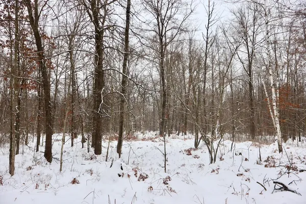$182,500 | North Magruder Road, Coleman, MI 48618