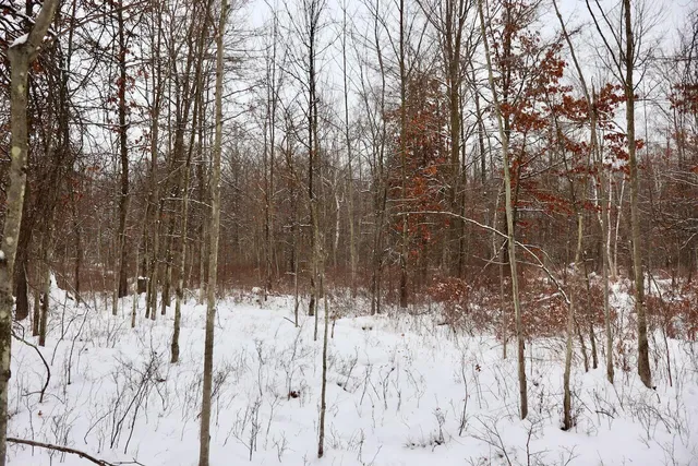$182,500 | North Magruder Road, Coleman, MI 48618