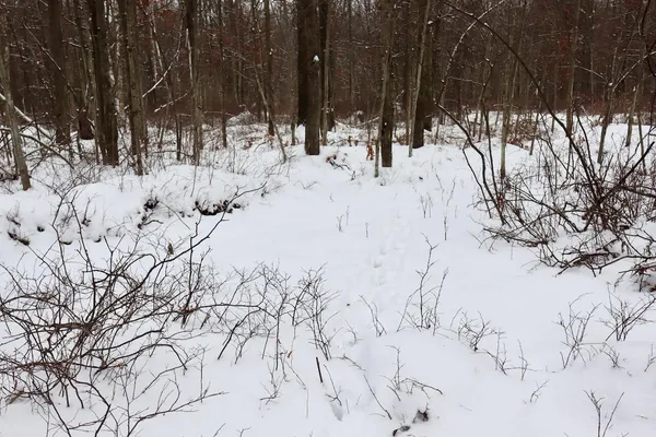 $182,500 | North Magruder Road, Coleman, MI 48618
