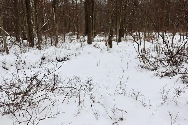 $182,500 | North Magruder Road, Coleman, MI 48618