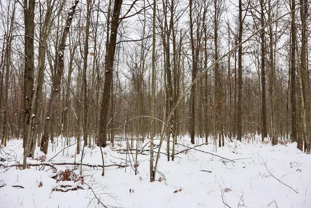 $182,500 | North Magruder Road, Coleman, MI 48618