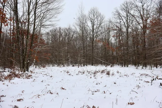 $182,500 | North Magruder Road, Coleman, MI 48618