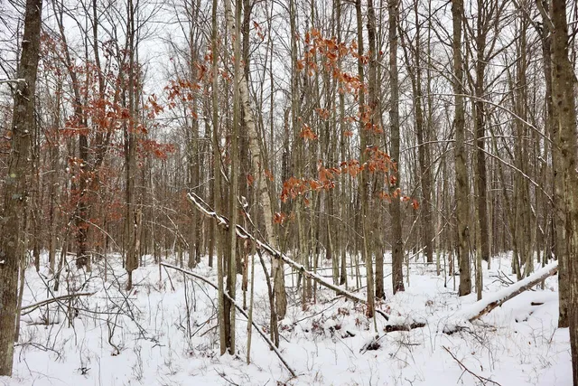 $182,500 | North Magruder Road, Coleman, MI 48618