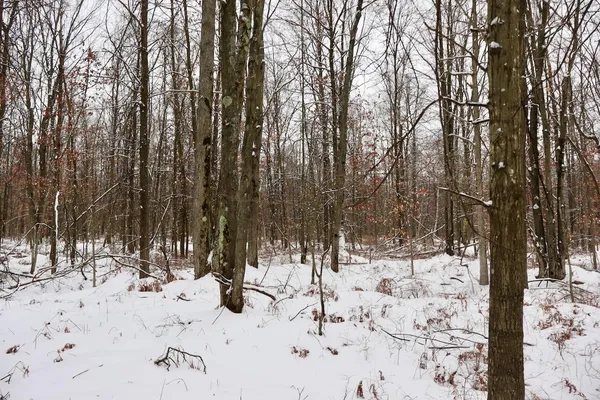 $182,500 | North Magruder Road, Coleman, MI 48618