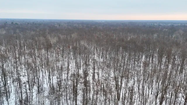 $182,500 | North Magruder Road, Coleman, MI 48618