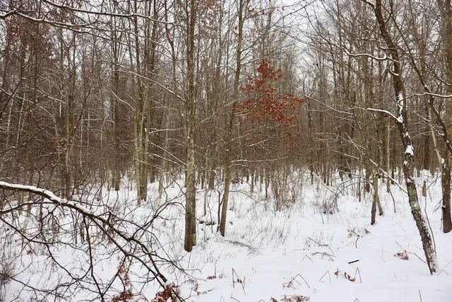 $182,500 | North Magruder Road, Coleman, MI 48618