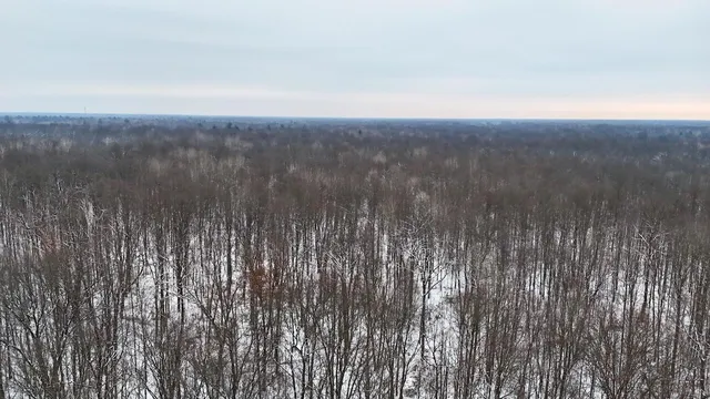 $182,500 | North Magruder Road, Coleman, MI 48618