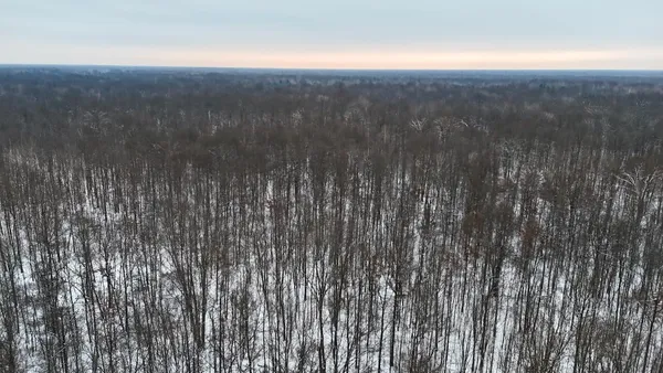 $182,500 | North Magruder Road, Coleman, MI 48618