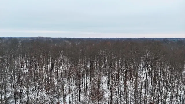 $182,500 | North Magruder Road, Coleman, MI 48618