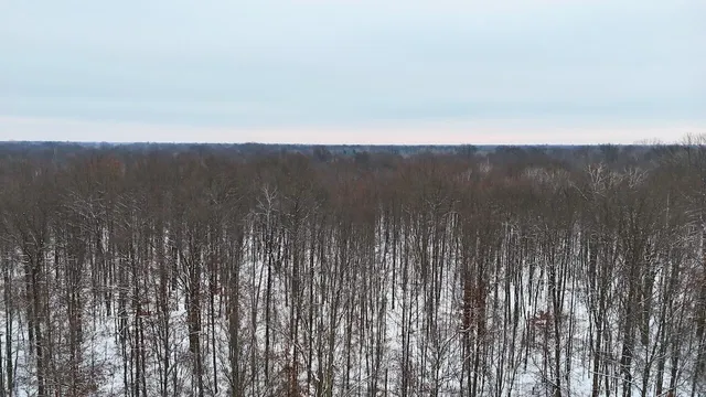 $182,500 | North Magruder Road, Coleman, MI 48618