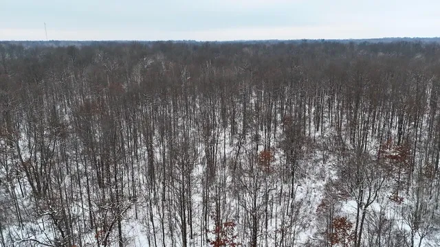 $182,500 | North Magruder Road, Coleman, MI 48618