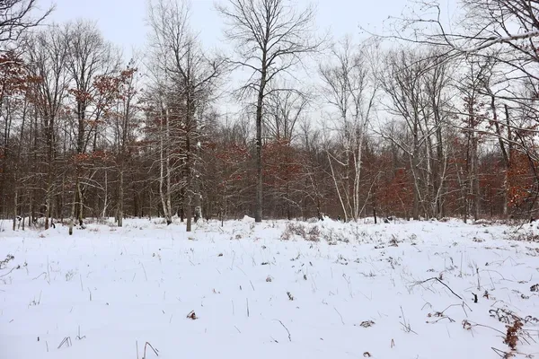 $182,500 | North Magruder Road, Coleman, MI 48618