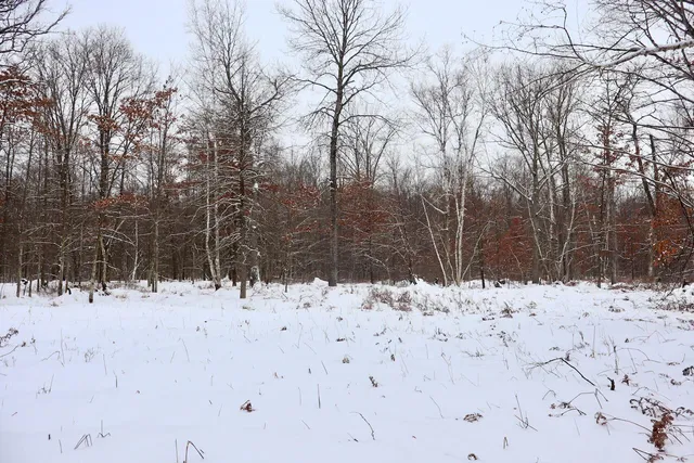 $182,500 | North Magruder Road, Coleman, MI 48618