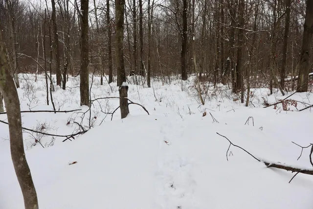 $182,500 | North Magruder Road, Coleman, MI 48618