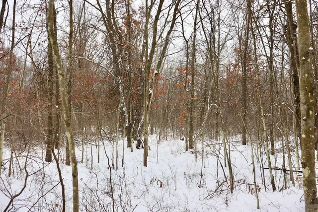 $182,500 | North Magruder Road, Coleman, MI 48618