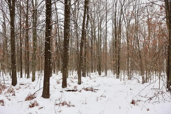 $182,500 | North Magruder Road, Coleman, MI 48618