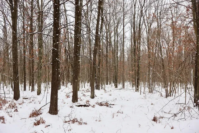 $182,500 | North Magruder Road, Coleman, MI 48618