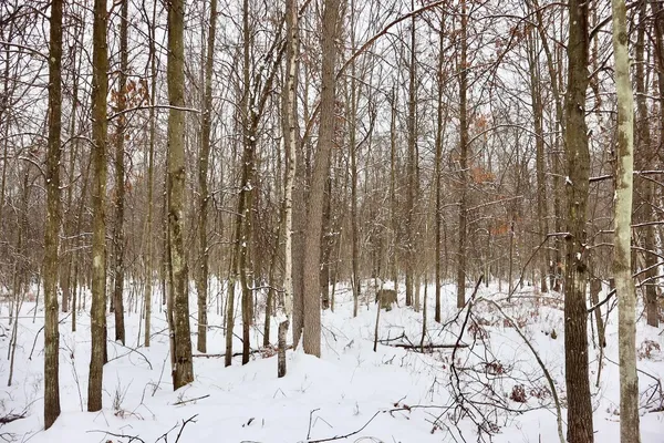 $182,500 | North Magruder Road, Coleman, MI 48618