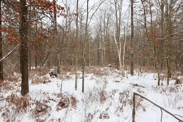 $182,500 | North Magruder Road, Coleman, MI 48618