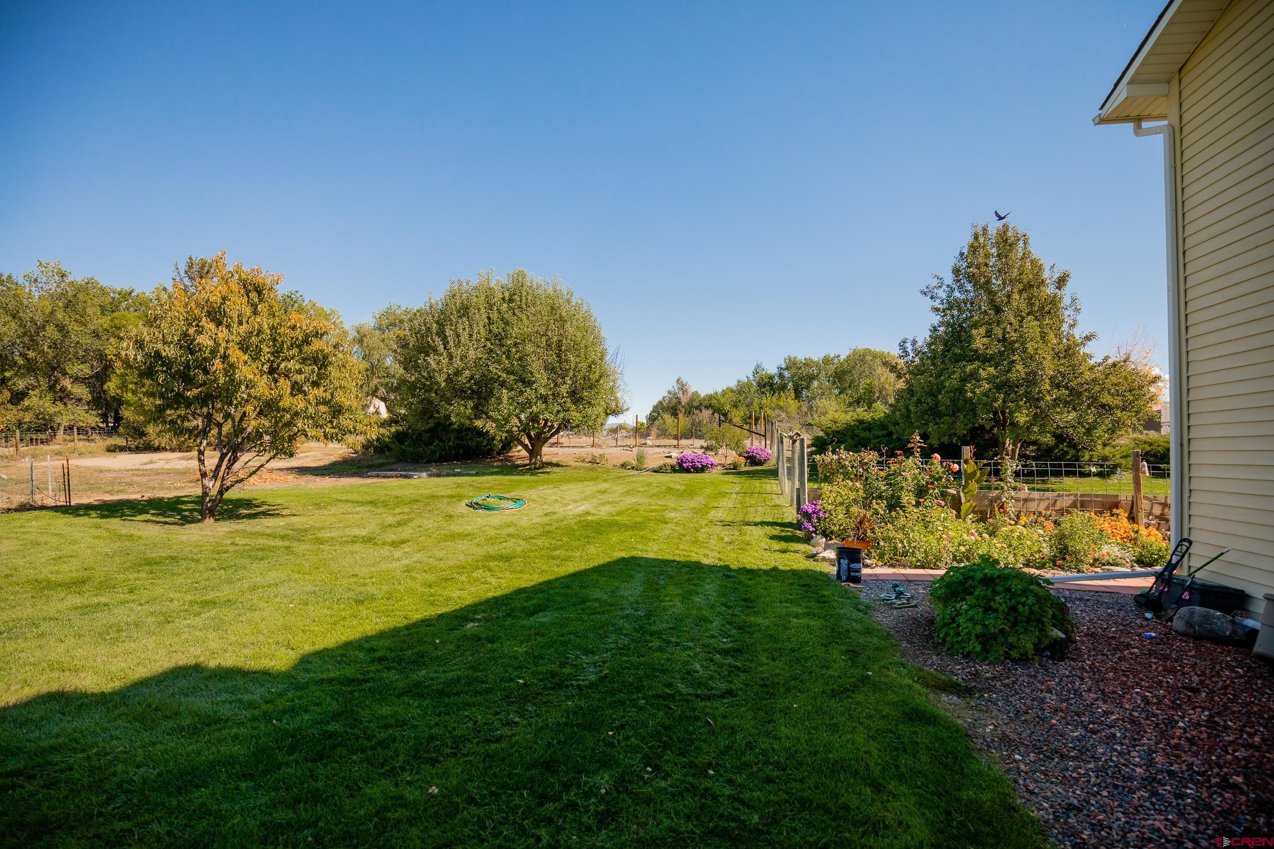 62347 Jig Road Montrose, CO 81401 - Photo 30 of 35 Gallery Image 30