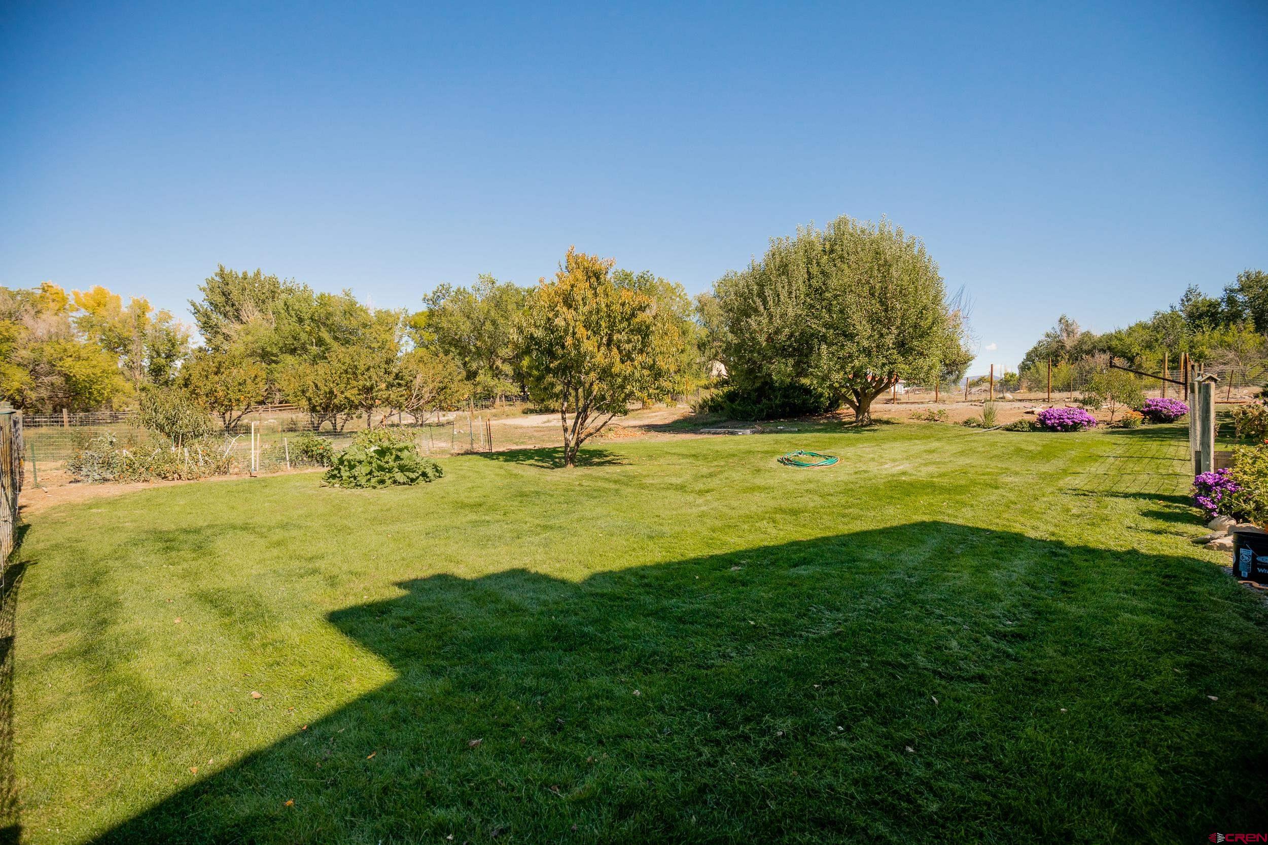 62347 Jig Road Montrose, CO 81401 - Photo 31 of 35 Gallery Image 31