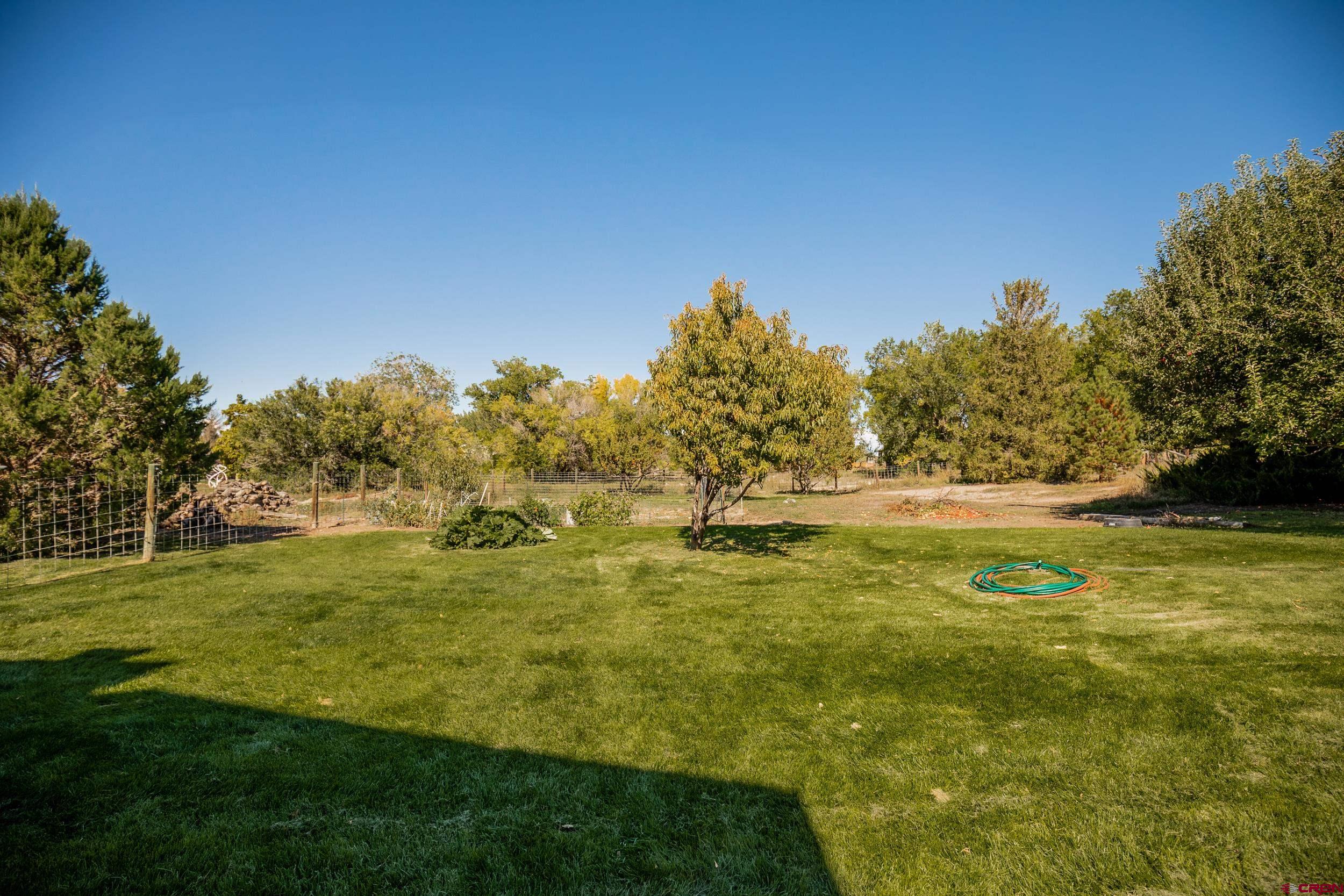 62347 Jig Road Montrose, CO 81401 - Photo 33 of 35 Gallery Image 33