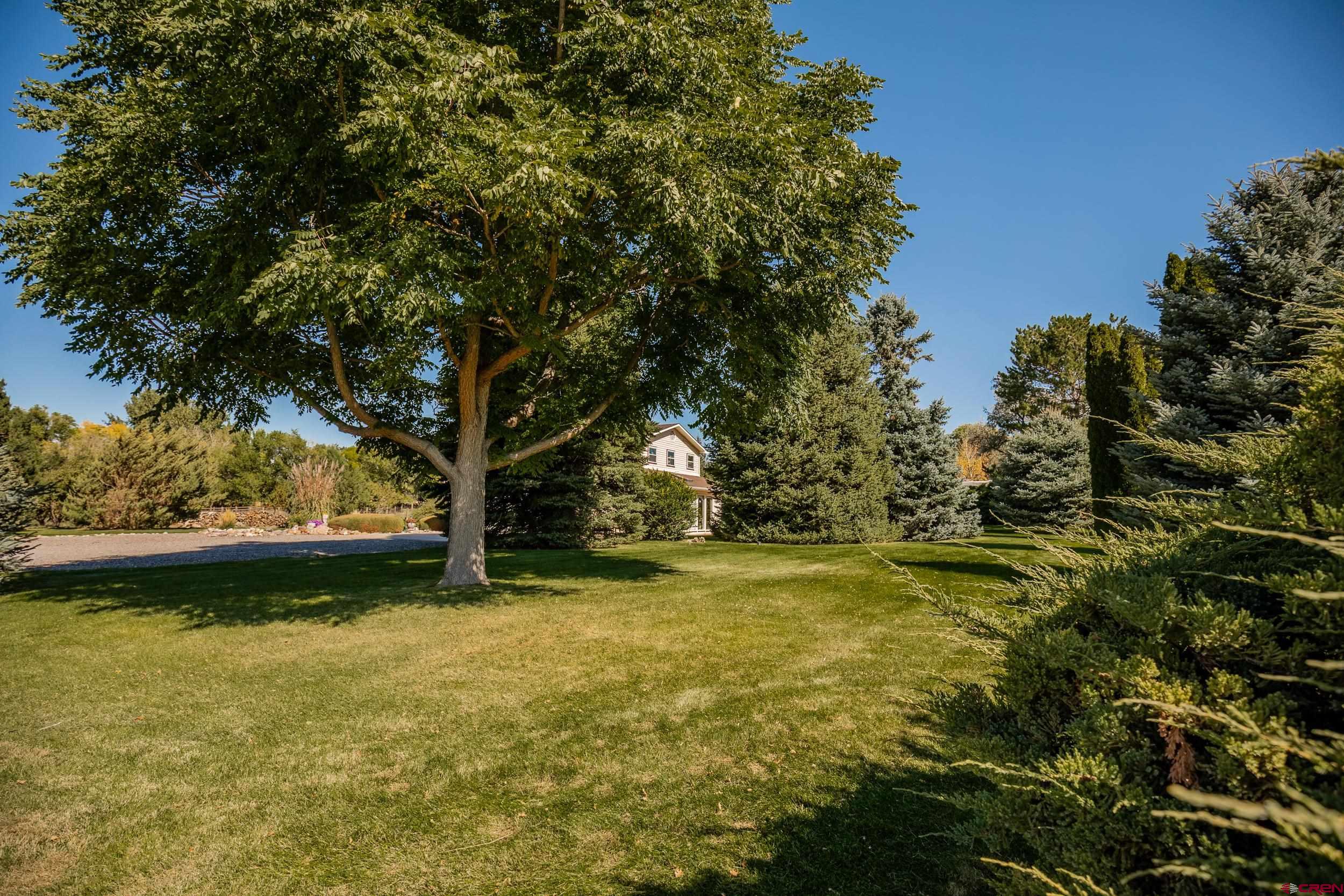 62347 Jig Road Montrose, CO 81401 - Photo 35 of 35 Gallery Image 35