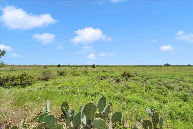 a view of a bunch of trees and houses