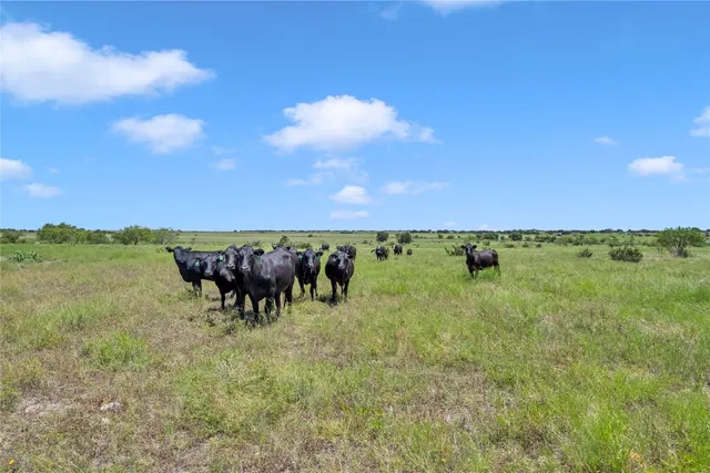 a view of a big yard with lots of green space