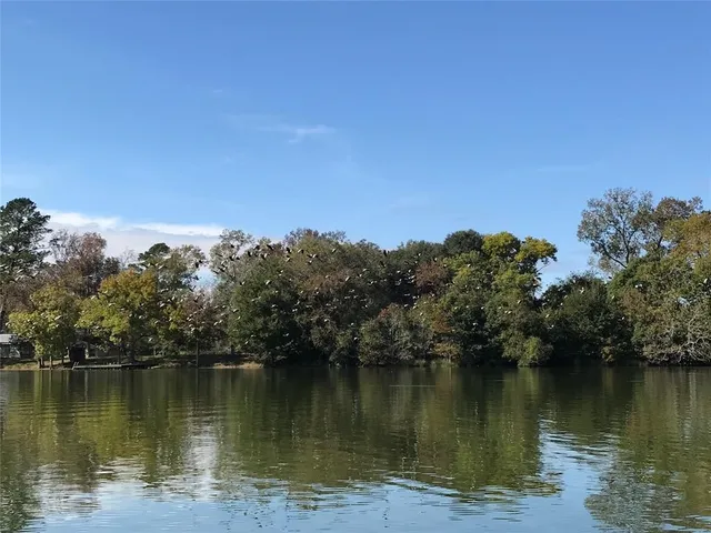 a view of a lake with a city view
