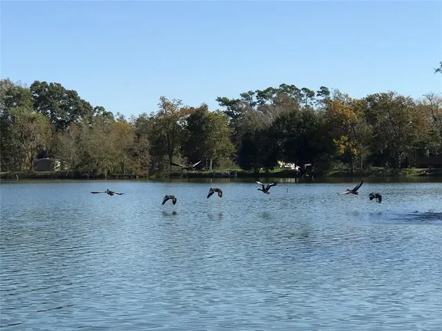 a view of lake with mountain