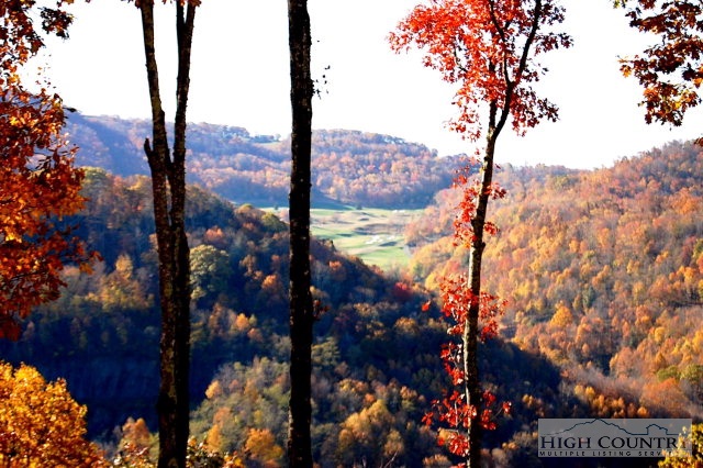 55 Raintree Lane Banner Elk, NC 28604 - Photo 11 of 18 Gallery Image 11