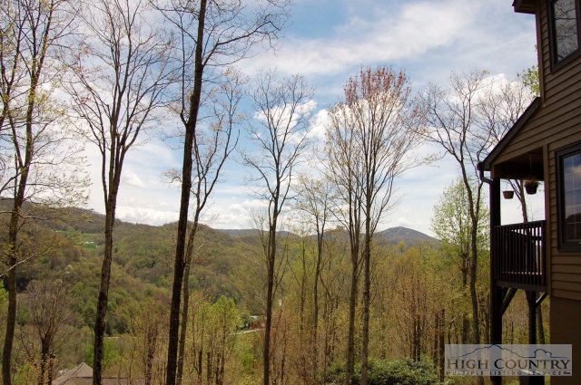 55 Raintree Lane Banner Elk, NC 28604 - Photo 16 of 18 Gallery Image 16