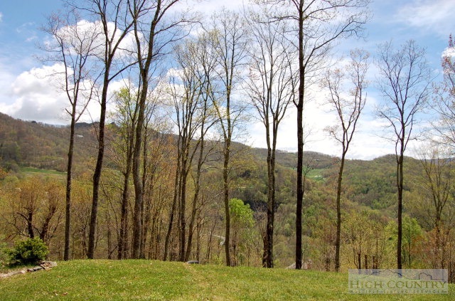 55 Raintree Lane Banner Elk, NC 28604 - Photo 17 of 18 Gallery Image 17