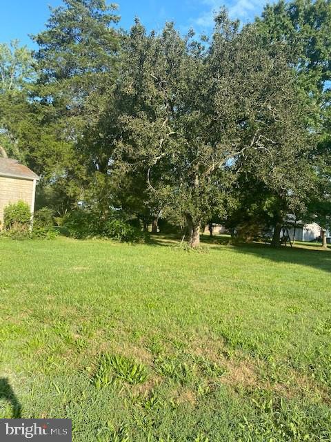 12209 Baines Corner Road Bealeton, VA 22712 - Photo 11 of 14 a view of yard with green space